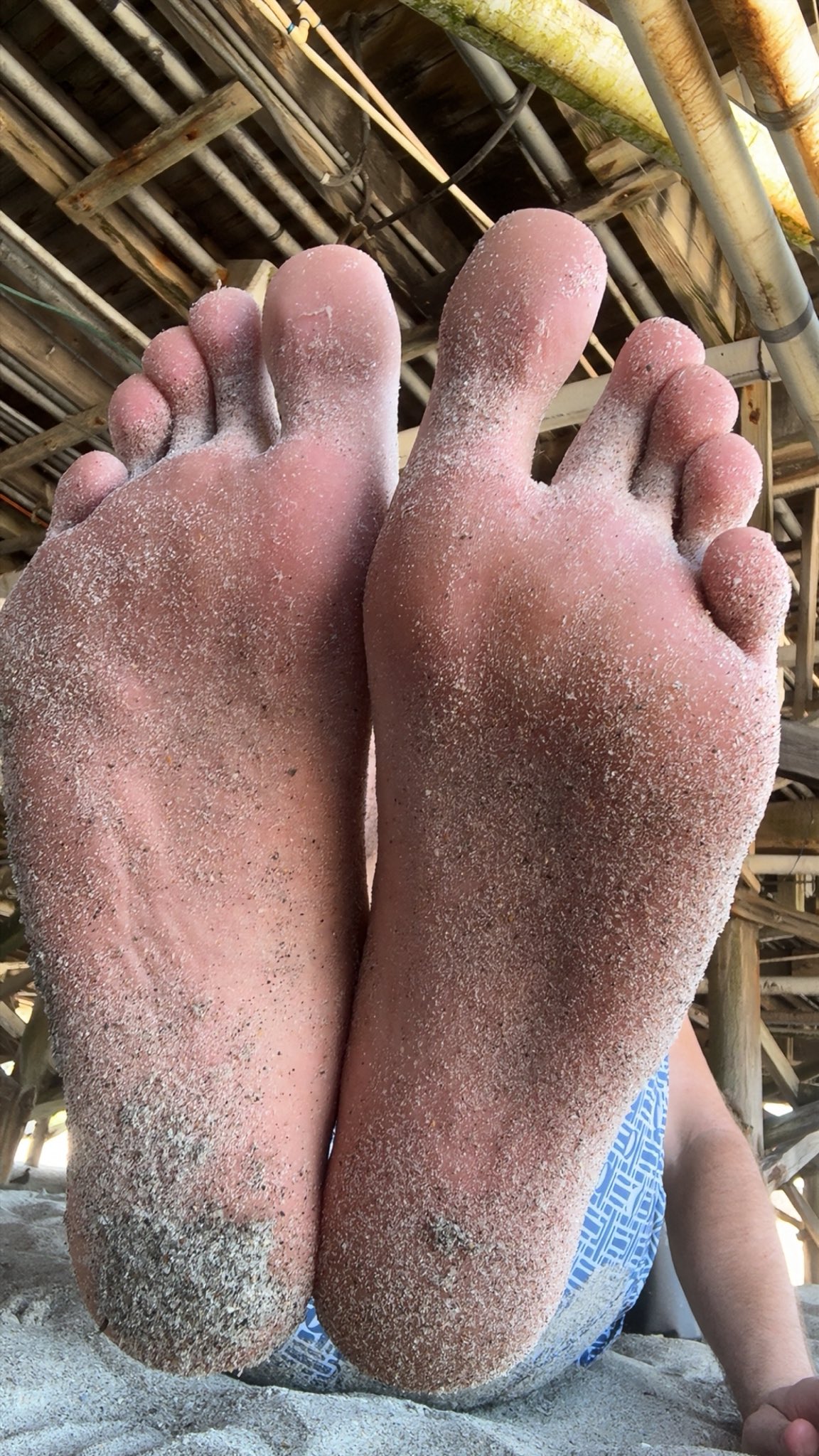 enjoying a nice sunny day at the beach featuring those sandy dawgs🦶🤭